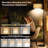 Floor Lamps