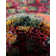 Corlenzo Abstract Orange/Pink/Blue/Yellow Area Rug