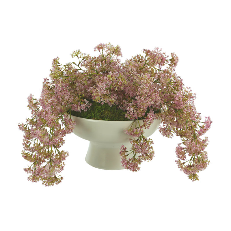 Organic Modern Weeping Laurel Arrangement