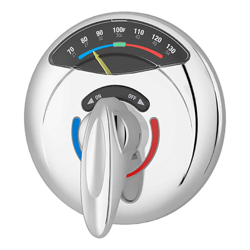 Visu-Temp® Shower Valve