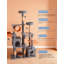 Structure d'escalade pour chat 63,78 pouces