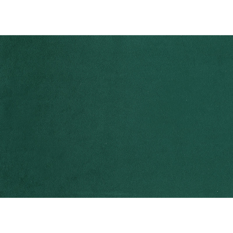 2 chaises d'appoint en tissu, style moderne, chaises de salle à manger ultramodernes et chambre contemporaine, Vert
