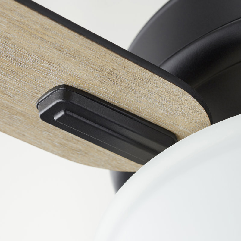 Byrnes Ceiling Fan with LED Lights, Noir with Weathered Oak Blades