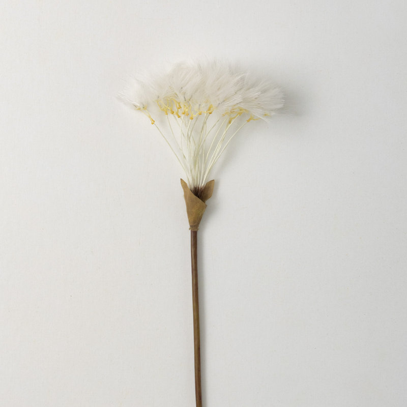 Dandelion Sprays