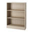 Leo Minor 203cm H x 41cm W Standard Bookcase-15810899-15810900