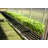 Greenhouse Work Bench System Shelving-7070627