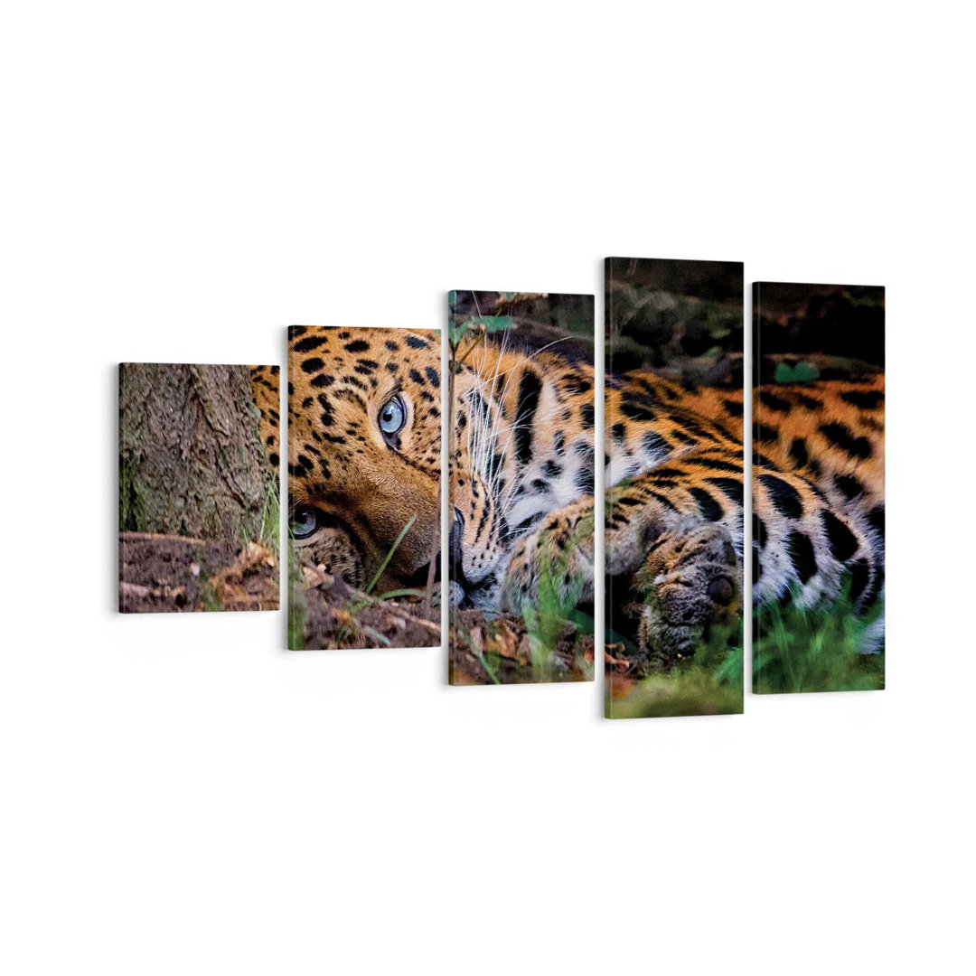 5-tlg. Leinwandbilder-Set Leopard Portrait Jaguar