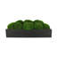 Nature's Nostalgia Moss Plant in Fiberstone Planter-1824800356-1824800363