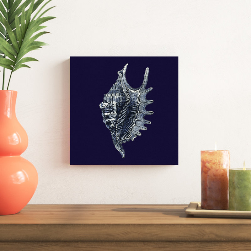 Y SE PAPER Indigo Shells VI, H 12 po x l 12 po x P 1,25 po