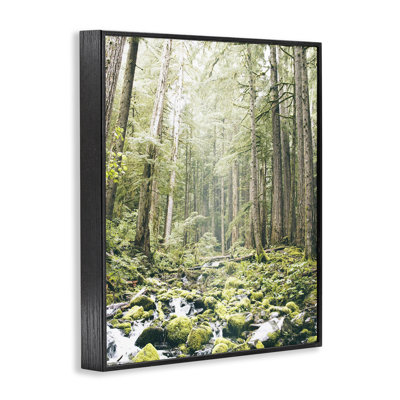 Verdant Forest Glow Wilderness Framed Giclee, design by Leah Straatsma
