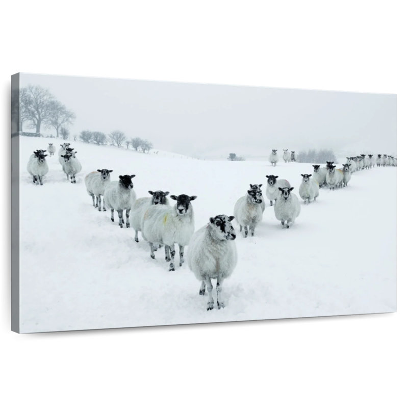 Brampt Winter Sheep, 8" H x 12" W