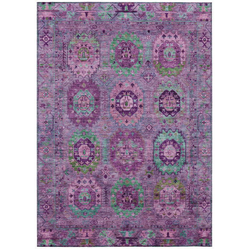 Machine Washable Indoor/Outdoor Chantille ACN2228 Panel Rug, Rectangle 5' x 7'6"