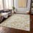  Chayden Area Rug with Non-Slip Backing-1918513643