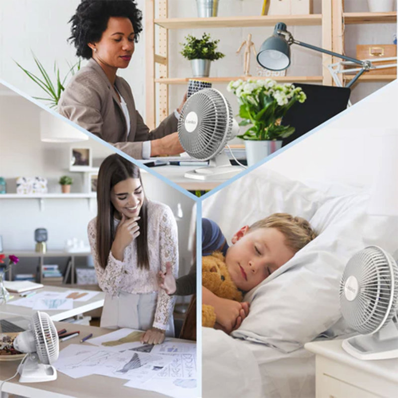Ventilateur de table personnel Lasko 6 pouces 2 W 2002W avec plateau de rangement, blanc