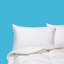 Oreiller en duvet d'oie blanche-690614268-690614219