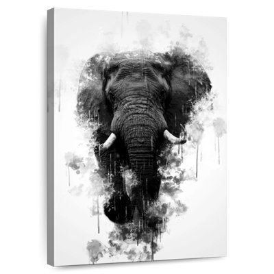 Brampt Mighty Elephant noir et blanc