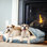 Lit pour chien Snoozer Premium Mircosuede