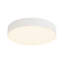 Rynn 5-in Black dimmable LED Flush Mount-1526963964
