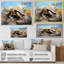«Turtle On Land I», reproduction d'art sur toile encadrée-934671225-934671224