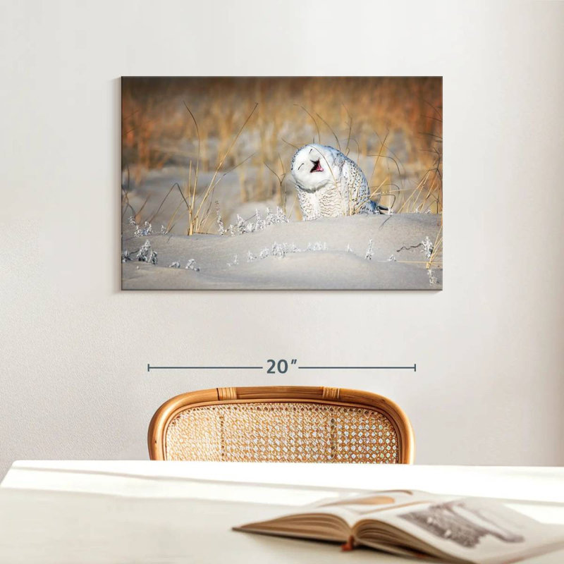 Chouette des neiges Brampt, H 16 po x l 24 po