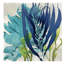 Sea Nature II by Melonie Miller - Print on Canvas-42159307-101336683