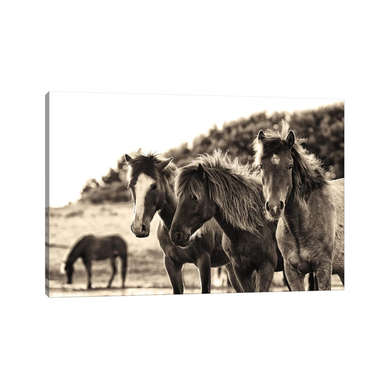 Horses Three Sepia by Aledanda - Wrapped Canvas Print, 20.32 cm H x 30.48 cm W