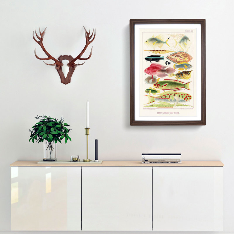 Great Barrier Reef Fishes XVI by W. Saville-Kent - Picture Frame Painting Print, Walnut Framed, 36cm H x 27cm W x 2cm D