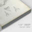 Shark Study II - impression sur toile tendue-508247446