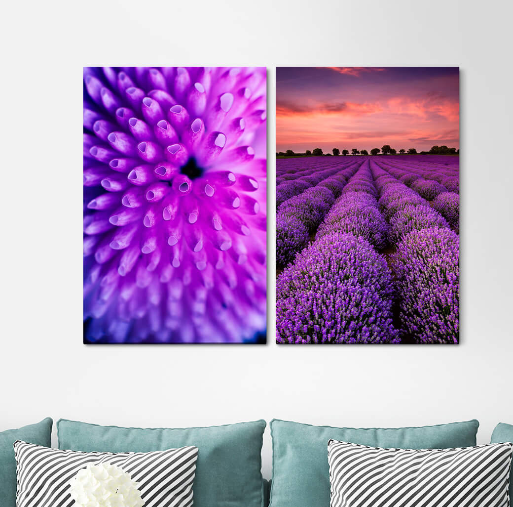 2-tlg. Leinwandbilder-Set - Fotografie „Coral Lavender Field Violet Tree Row Horizon Pink Clouds”