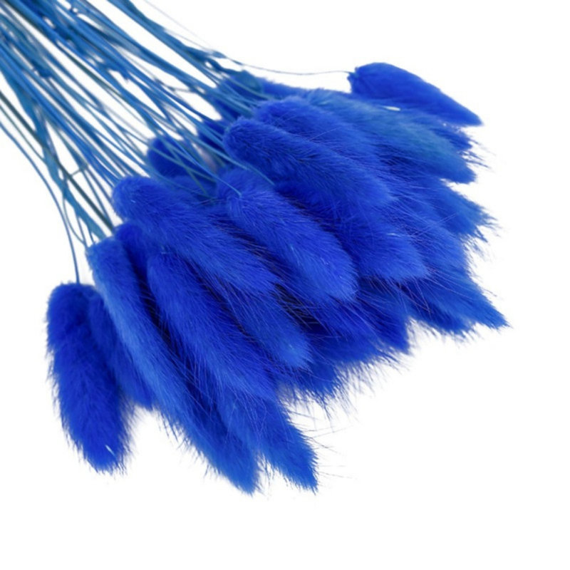 100pcs Home Decoration Rabbit Tail Grass Dried Flower Bundle True Flower Eternal Flower, Pink