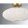 1-Light Ceiling Light