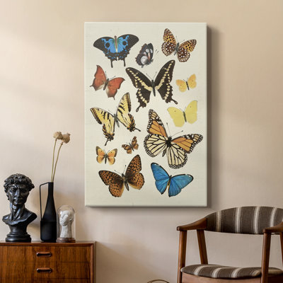 Collection Flutter II - galerie Cavas sur mesure