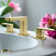 Lulani Widespread Bathroom Faucet with Drain Assembly