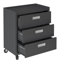 Armoire de rangement de garage mobile en métal gris anthracite Fortress-1081911691