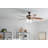 52'' Ceiling Fan with Light Kit-1329633894