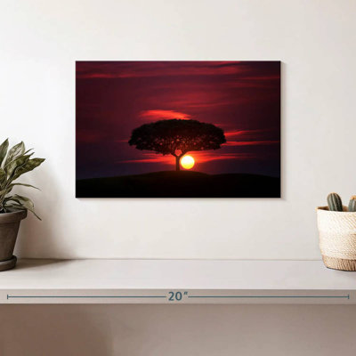 Alvord African Sunset Sky