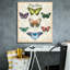 «Epic Graffiti« Beautiful Papillon Study B »par Jean Plout, art mural sur toile, 26 po x 30 po-1460236048
