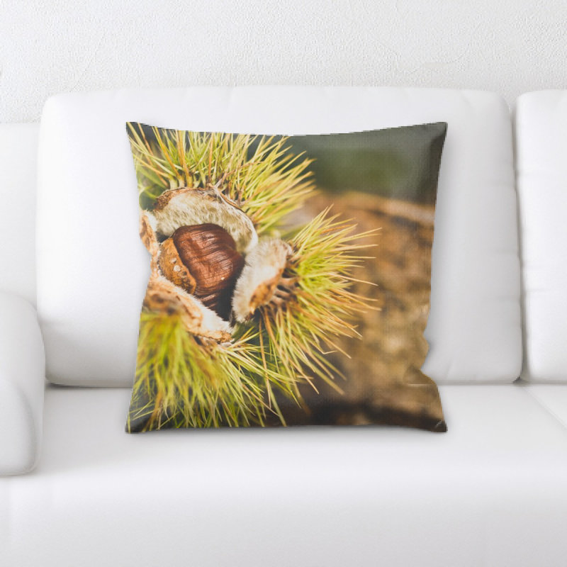 Coussin châtaignier