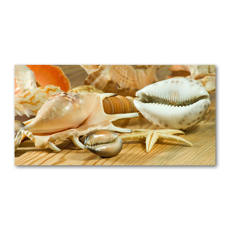 Shells On Wood - Wrapped Canvas Print