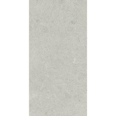 Artistic Freedom 12"X24" Porcelain Stone Look