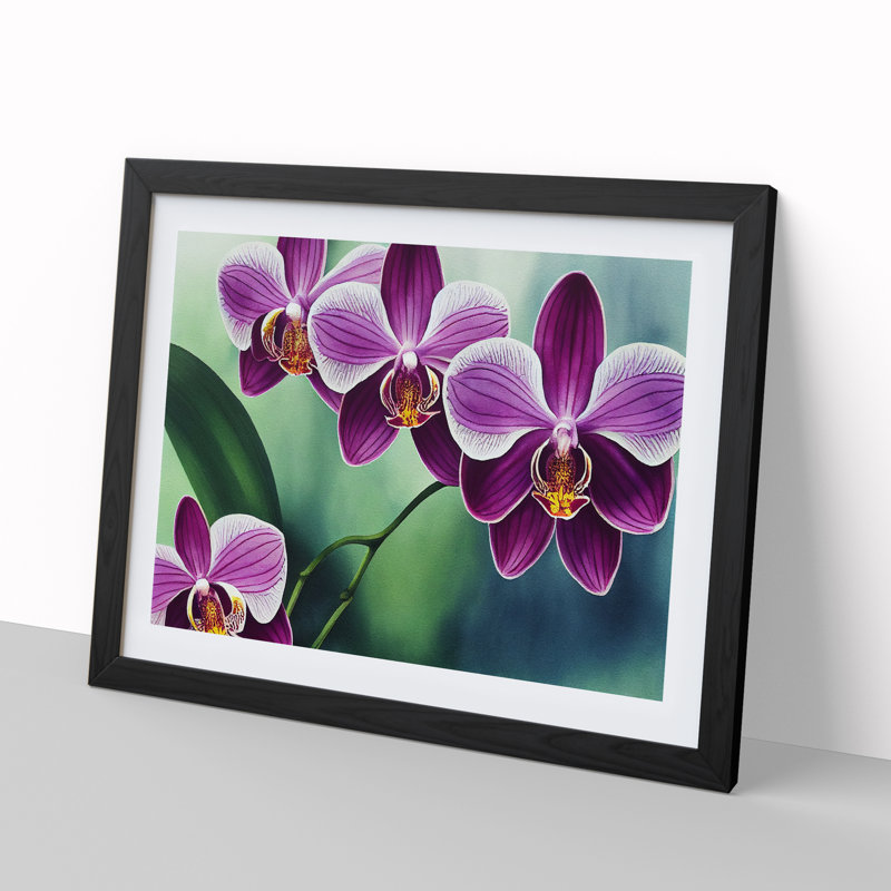 Luscious Orchid Flowers - Single Picture Frame Print, Black, 46cm H x 64cm W x 2cm D