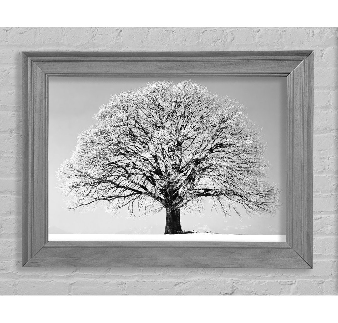 Winter Snow Tree B N W - Bilderrahmen Kunstdrucke