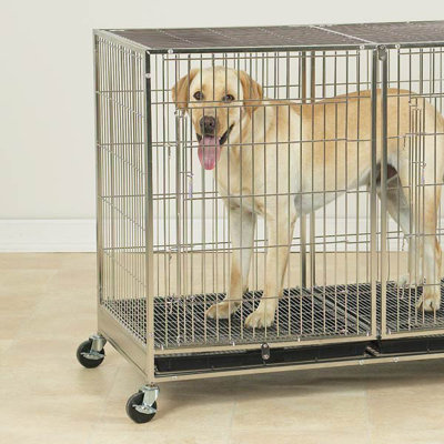 Rubenstein Steel Pet Crate with 2 Doors