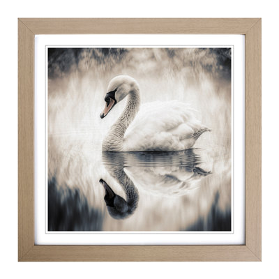 Swan Double Exposure No.1 - Framed Print