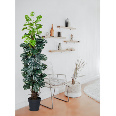 55'' Faux Evergreen Plant in Pot