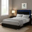 Grand lit Suni avec tête de lit à DEL et cadre en bois de piano noir-117559574-117559577