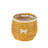 Shetye Indoor Pot Planter