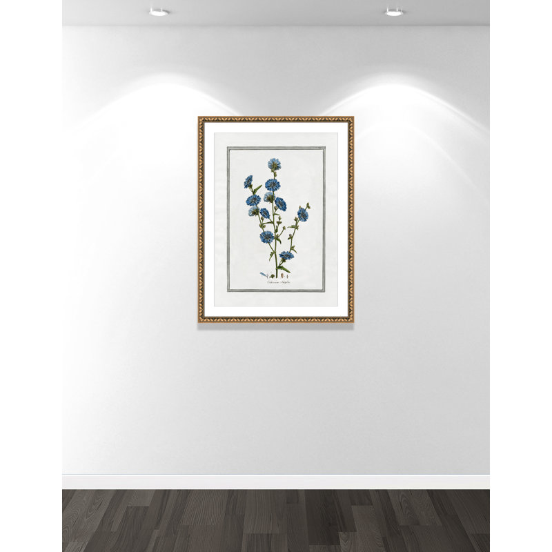 Colombe Soft Botanical I - Art encadré avec fond perdu, Cadre en perle d'or, L 26,5 po x H 36,5 po