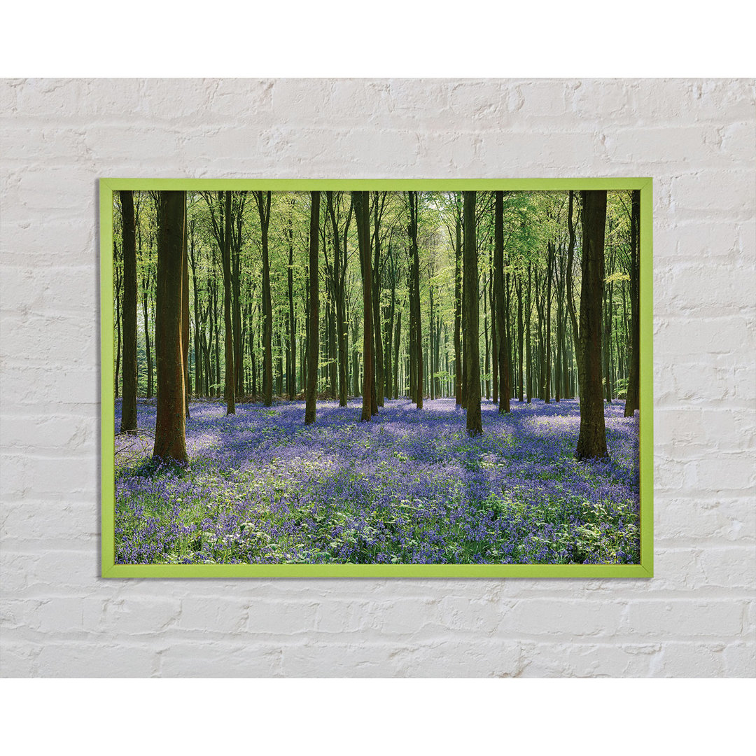 Primeau Mystical Bluebell Woodland - Einzelner Bilderrahmen Kunstdrucke