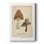 Champignons des bois - galerie Cavas sur mesure-2131574722